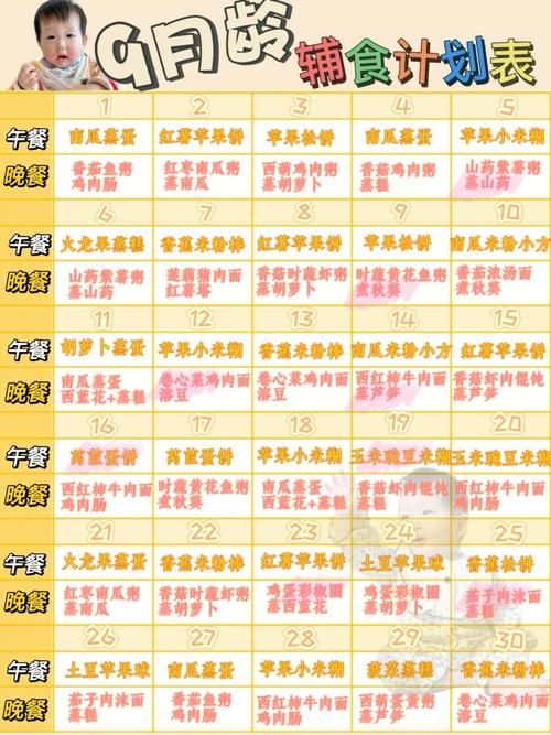 9个月国内助孕宝宝辅食吃多少